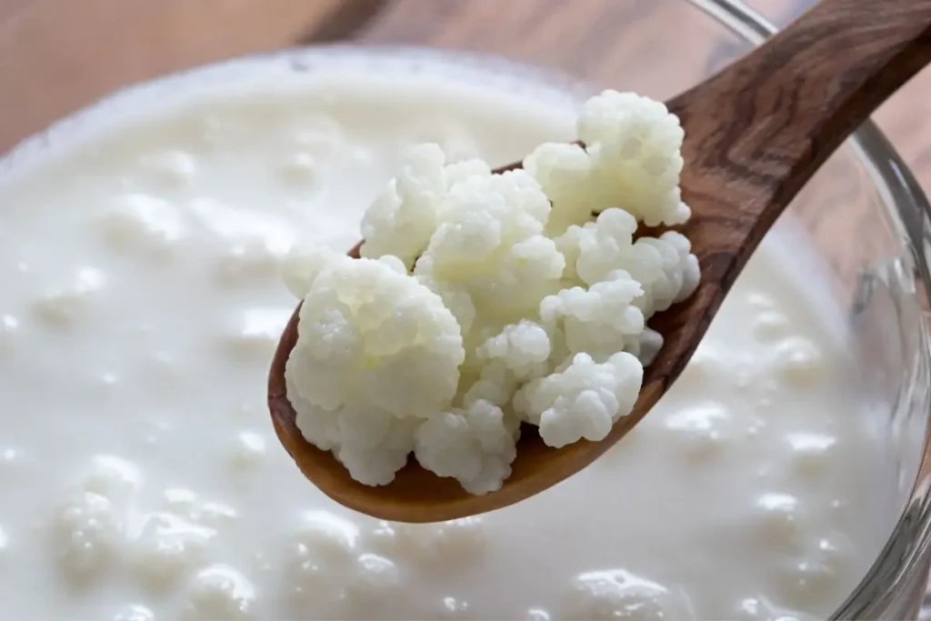 Bebidas probióticas Caseira - Kefir